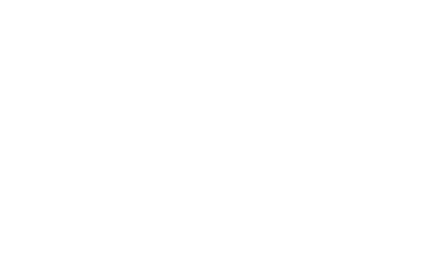 N THAI PALACE